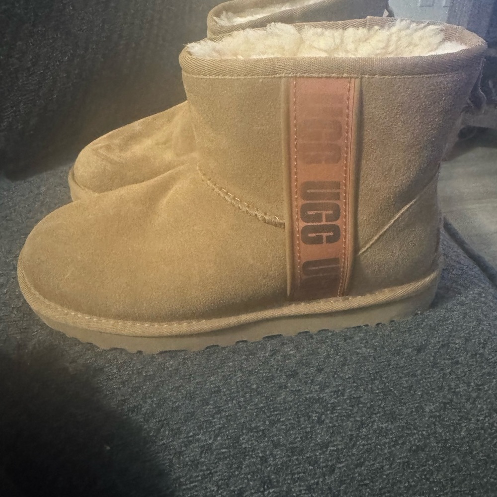 UGG Chestnut Suede Winter Boots